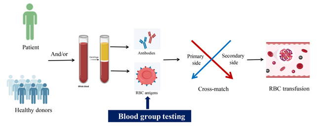 Blood type distribution U.S. 2023