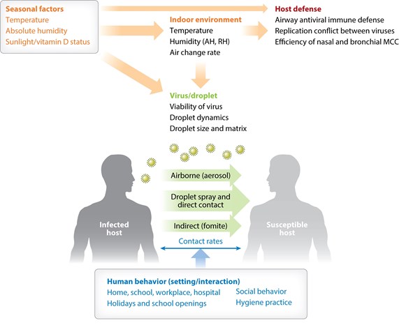 Figure 1: Factors affecting respiratory virus transmission